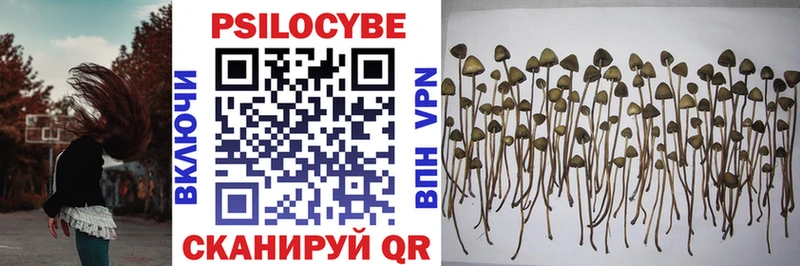 Галлюциногенные грибы Magic Shrooms где купить наркотик Асбест